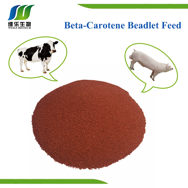 Beta-Carotene 10%CWS feed.jpg